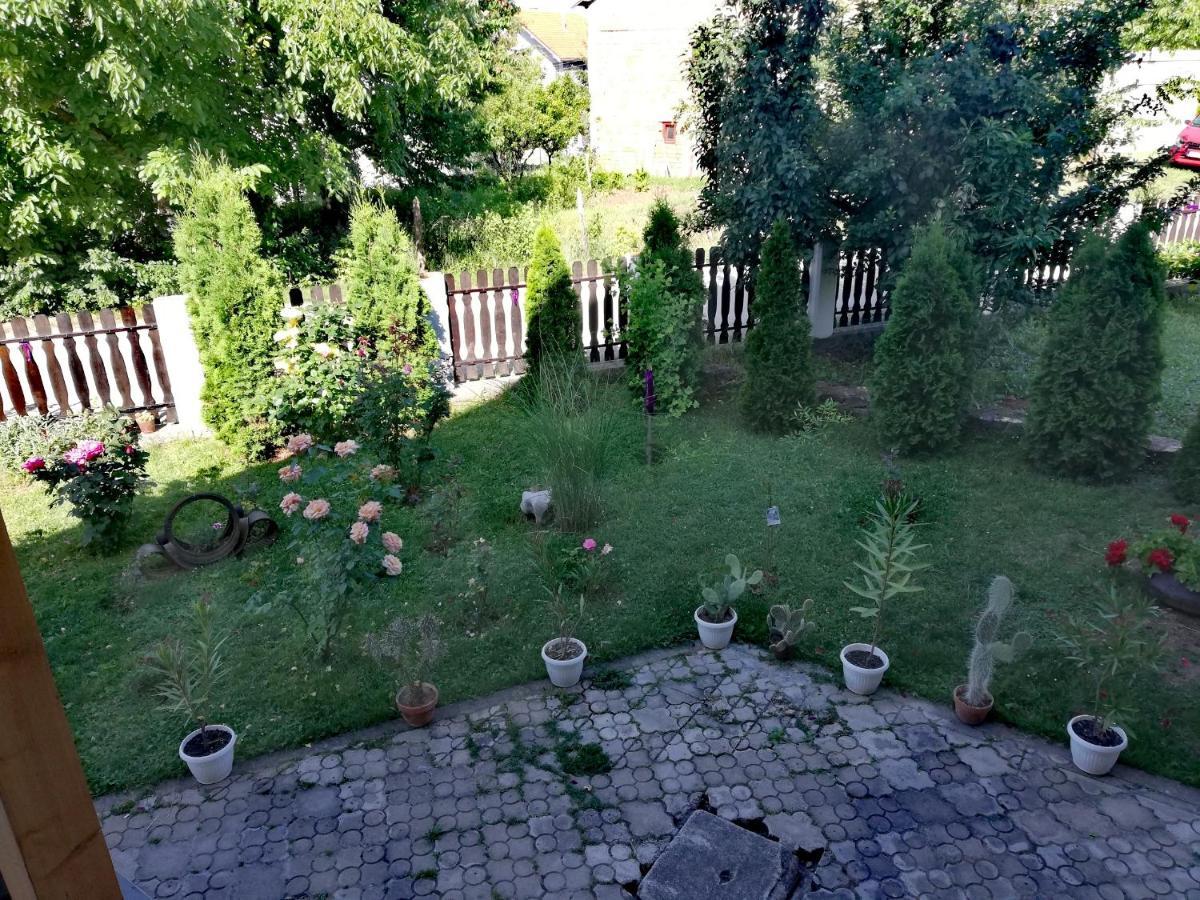 Apartmani Tvins Soko Banja Esterno foto