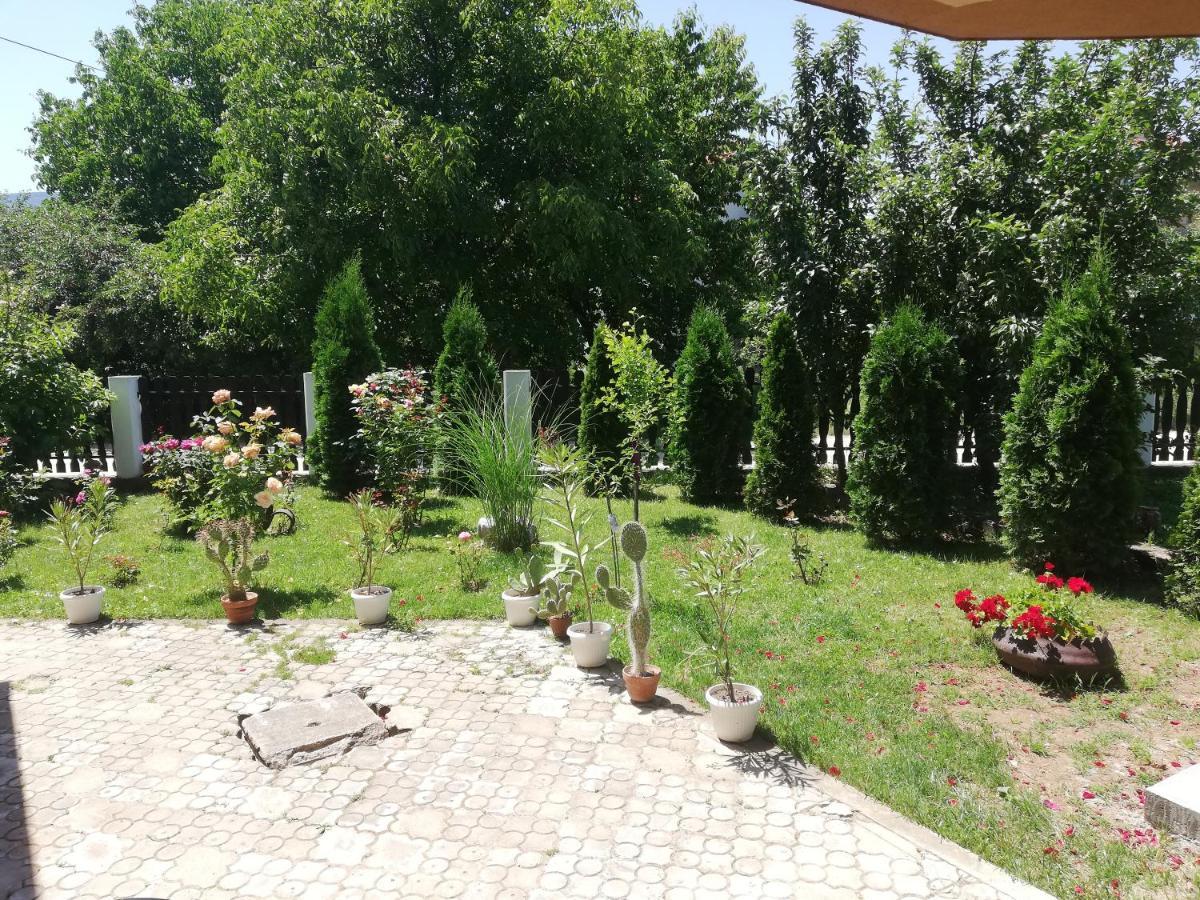Apartmani Tvins Soko Banja Esterno foto