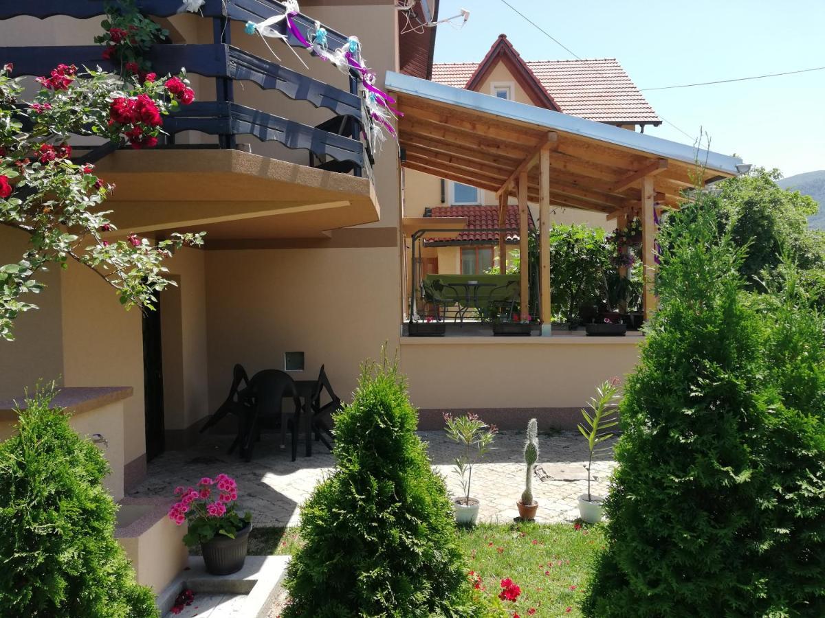 Apartmani Tvins Soko Banja Esterno foto