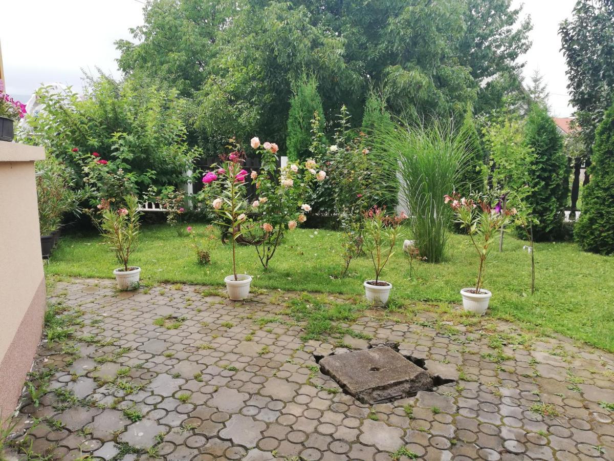 Apartmani Tvins Soko Banja Esterno foto
