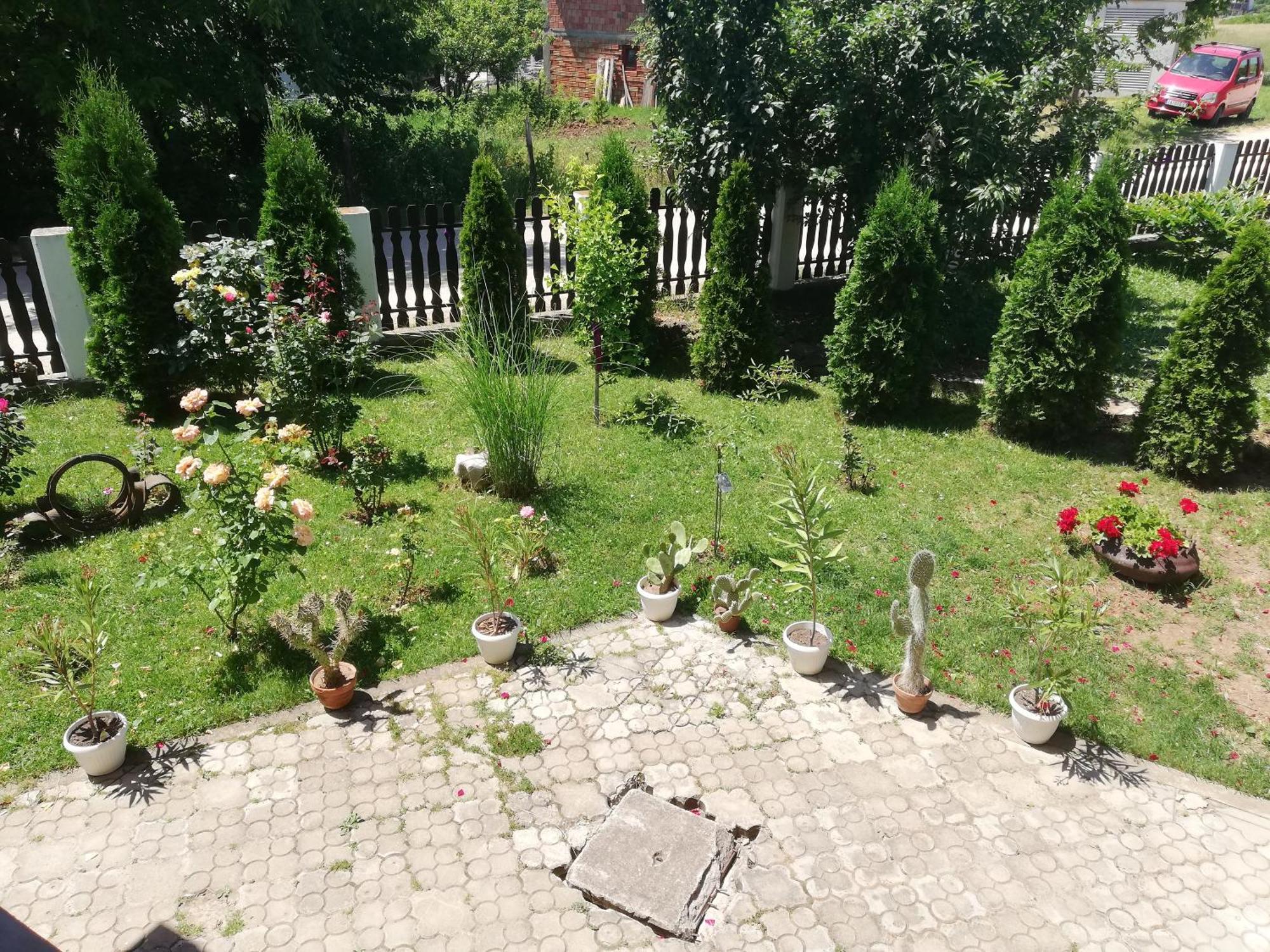Apartmani Tvins Soko Banja Esterno foto